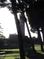 dsc00074.jpg