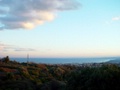 dsc00337.jpg