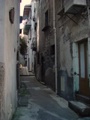 dsc00431.jpg