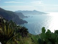 dsc01094.jpg