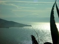 dsc01099.jpg