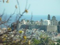 dsc01100.jpg