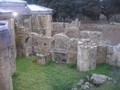 dsc00325.jpg
