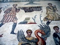 dsc00335.jpg