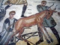 dsc00336.jpg