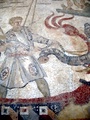 dsc00341.jpg