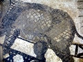 dsc00343.jpg