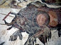 dsc00346.jpg