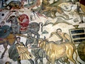 dsc00351.jpg