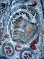 dsc00356.jpg