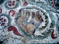 dsc00357.jpg