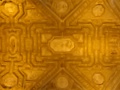 dsc00200.jpg